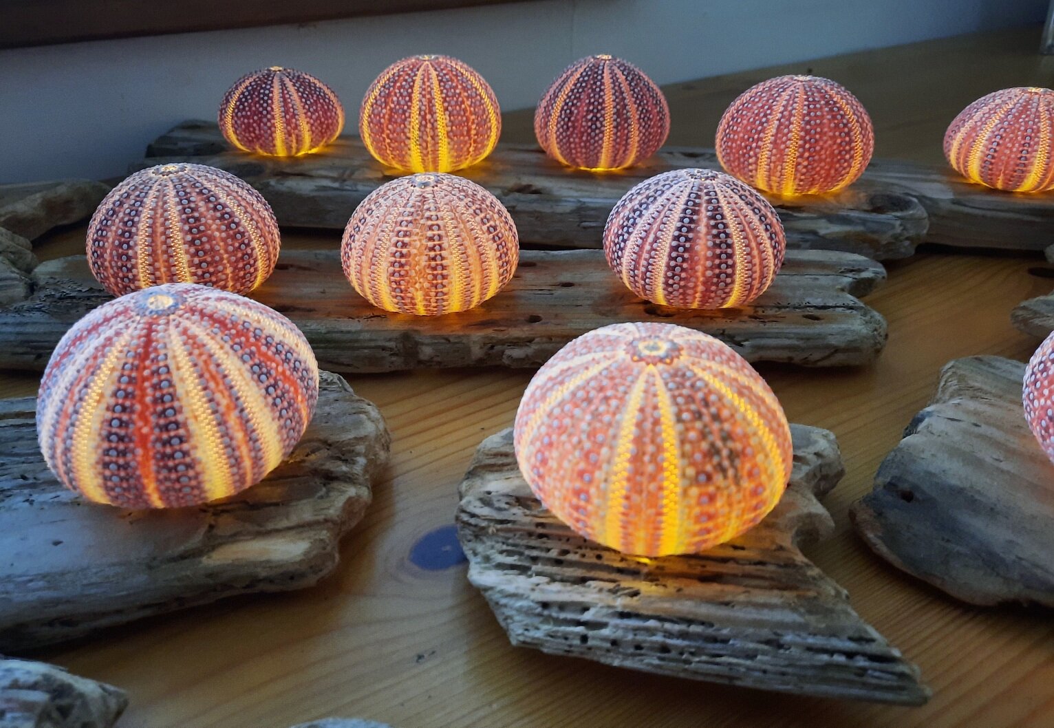 Sea Urchin Crafts — East Neuk Open Studios
